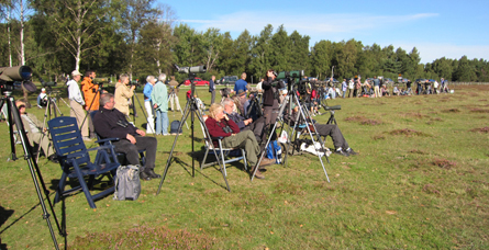 Spaning efter rovisar vid Ljungen. Foto: Mats Olsson